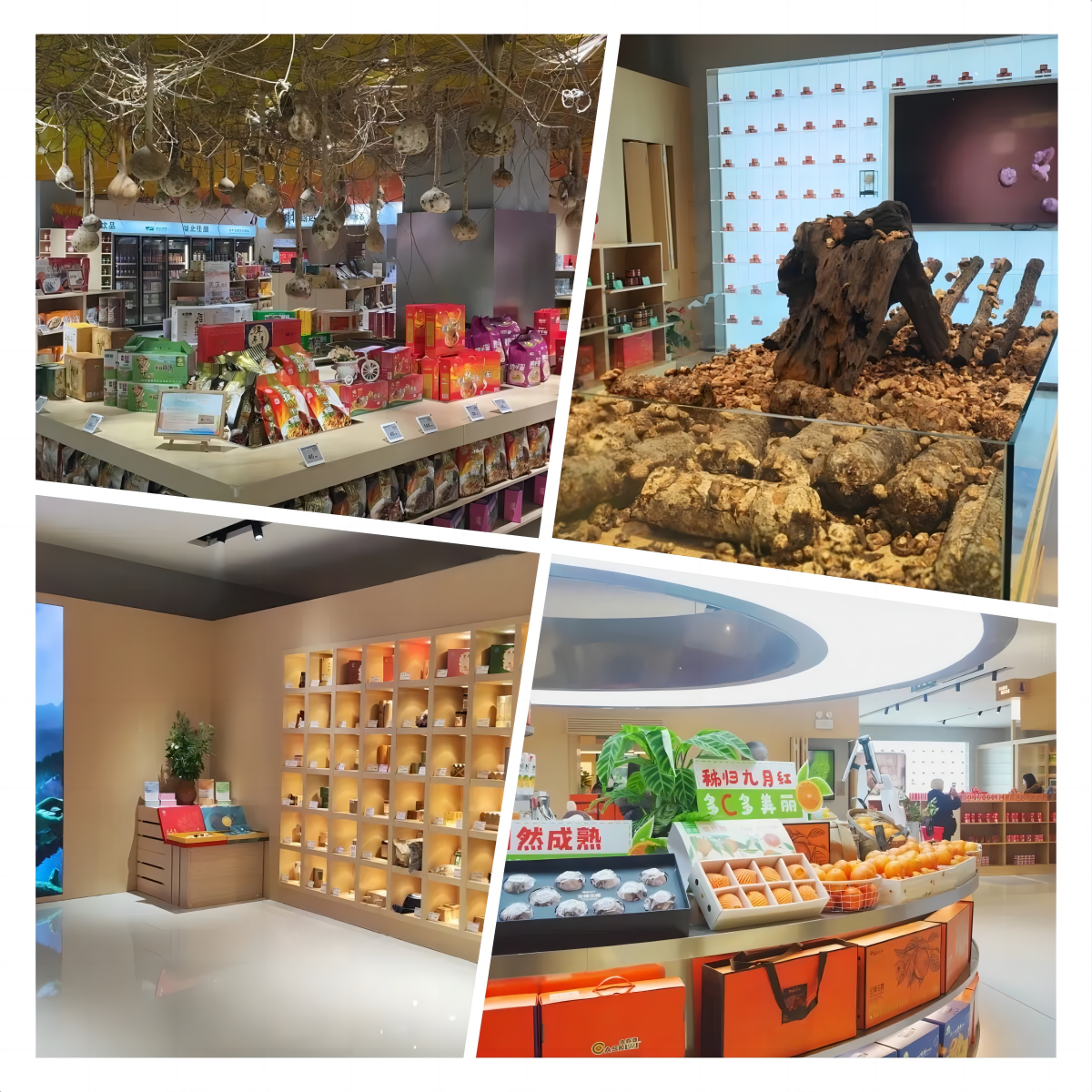 首页| 抖圈官网-为du而生