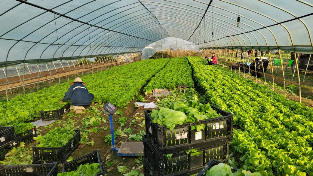 首页| 抖圈官网-为du而生